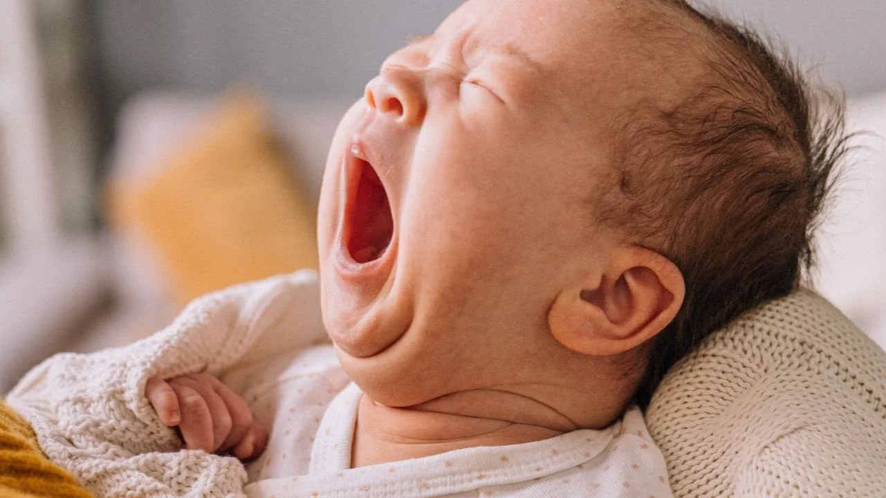 Newborn Essentials (0-8 Weeks)