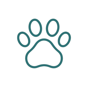 Simple paw print icon outlined in dark teal, featuring four toes and a large pad on a transparent background.