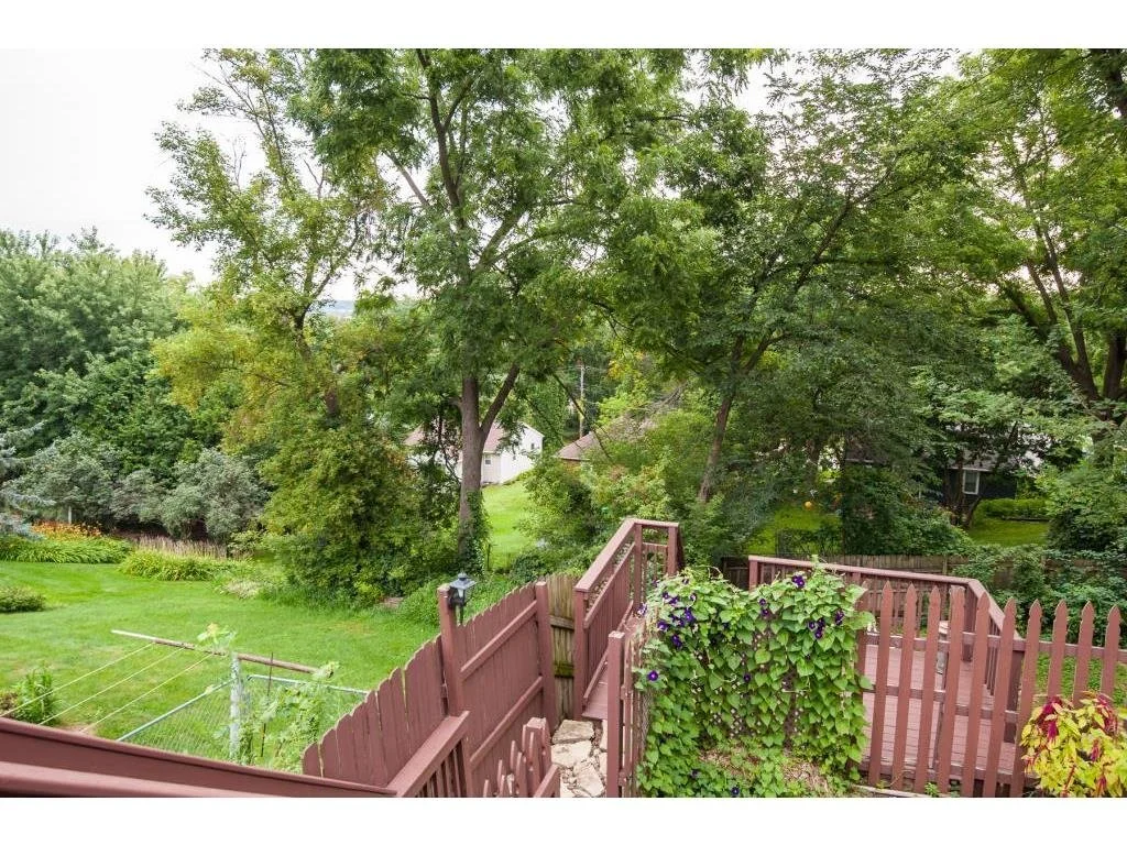 backyard.jpg