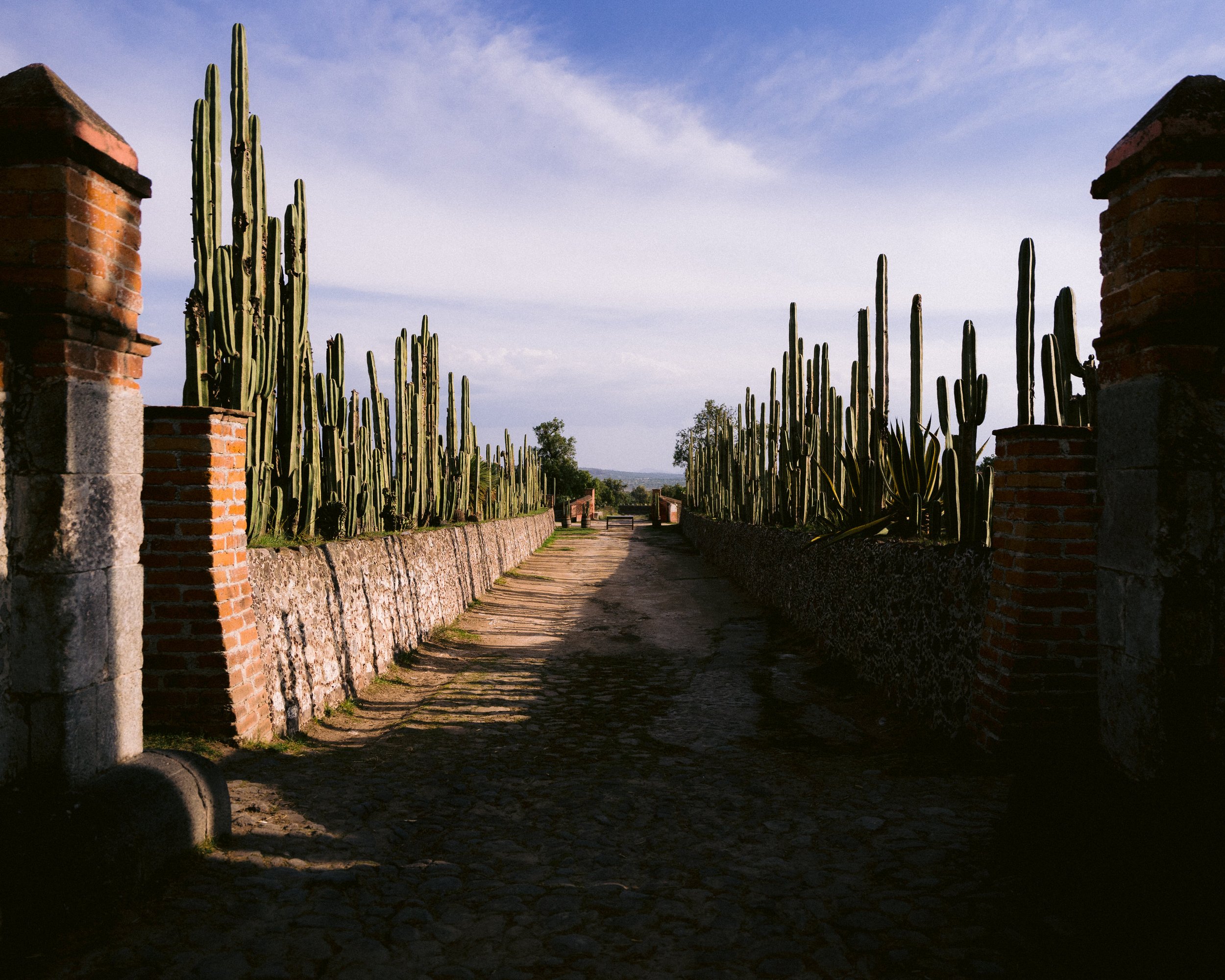 Wedding Day in Pachuca Hidalgo by Luis Muri Wedding Destination Photographer 00071.JPG