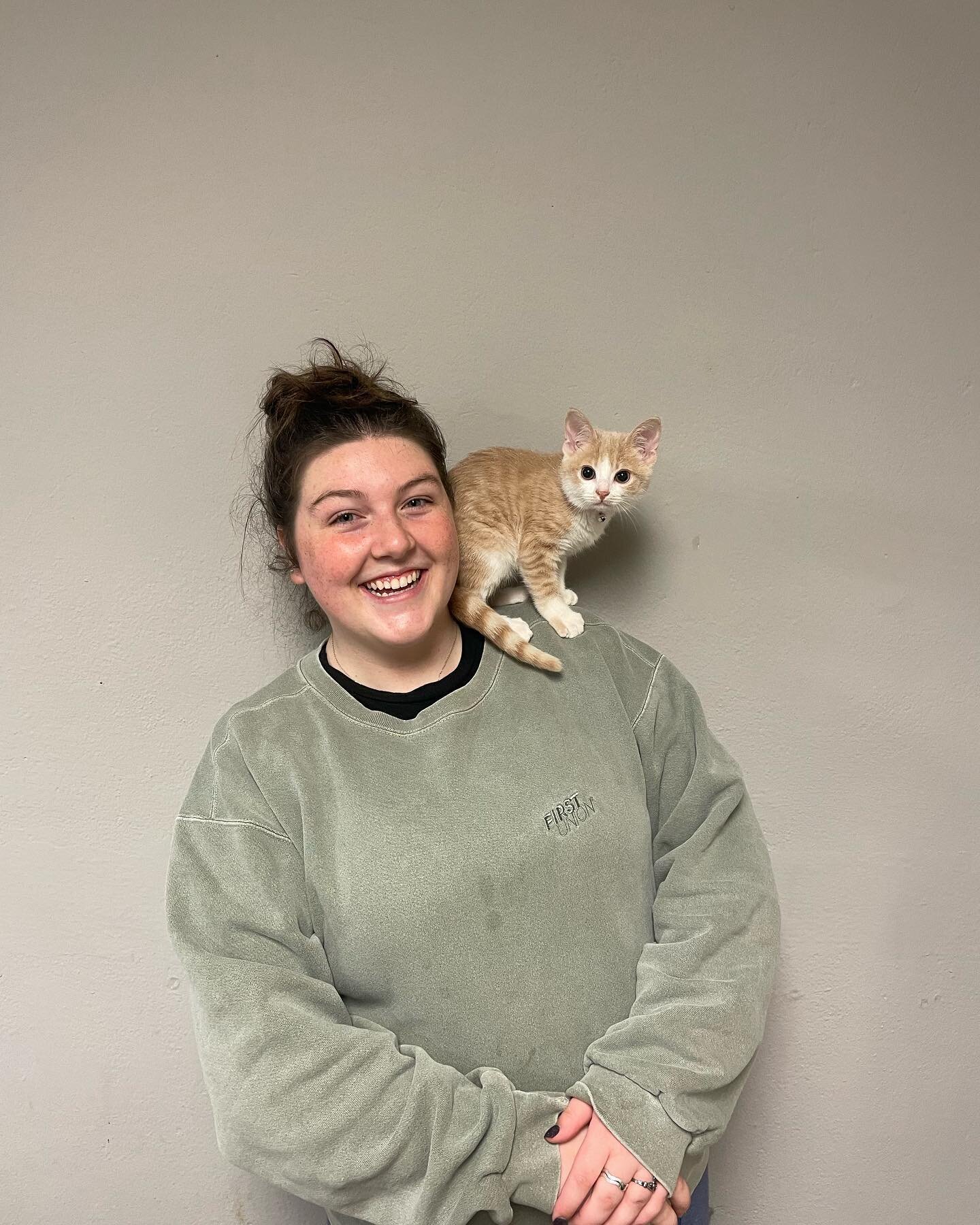 Last week was our biggest week yet at CVRS with four adopted!!! 

Garbanzo (first photo) has been in a foster to adopt home for the past couple of months and his owner decided it was time to adopt!! Before his new owner took him home to foster, she w