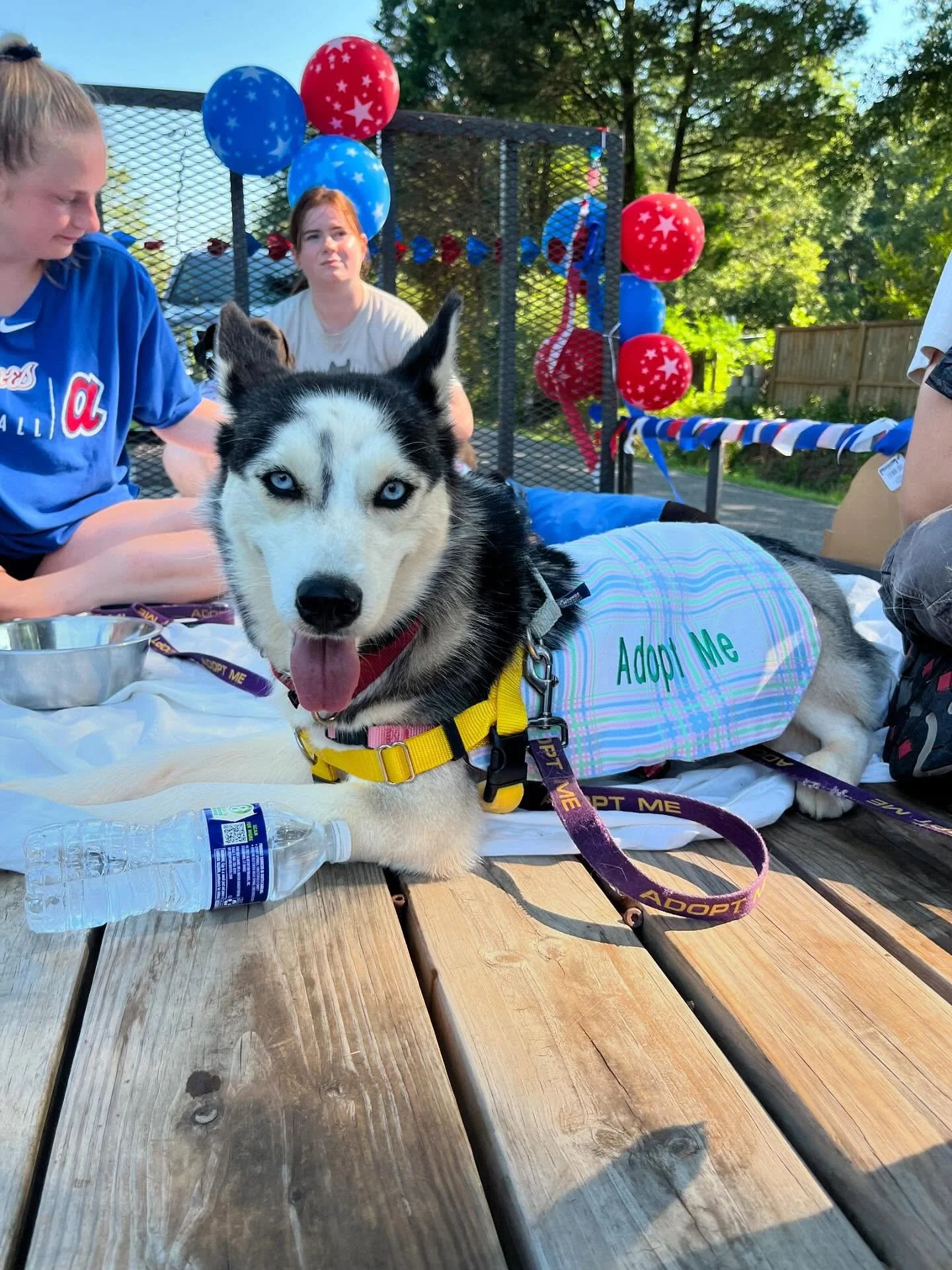 We had the best time at the Colbert 4th of July Parade!! Thank you so much to all of our wonderful volunteers for helping make this happen.