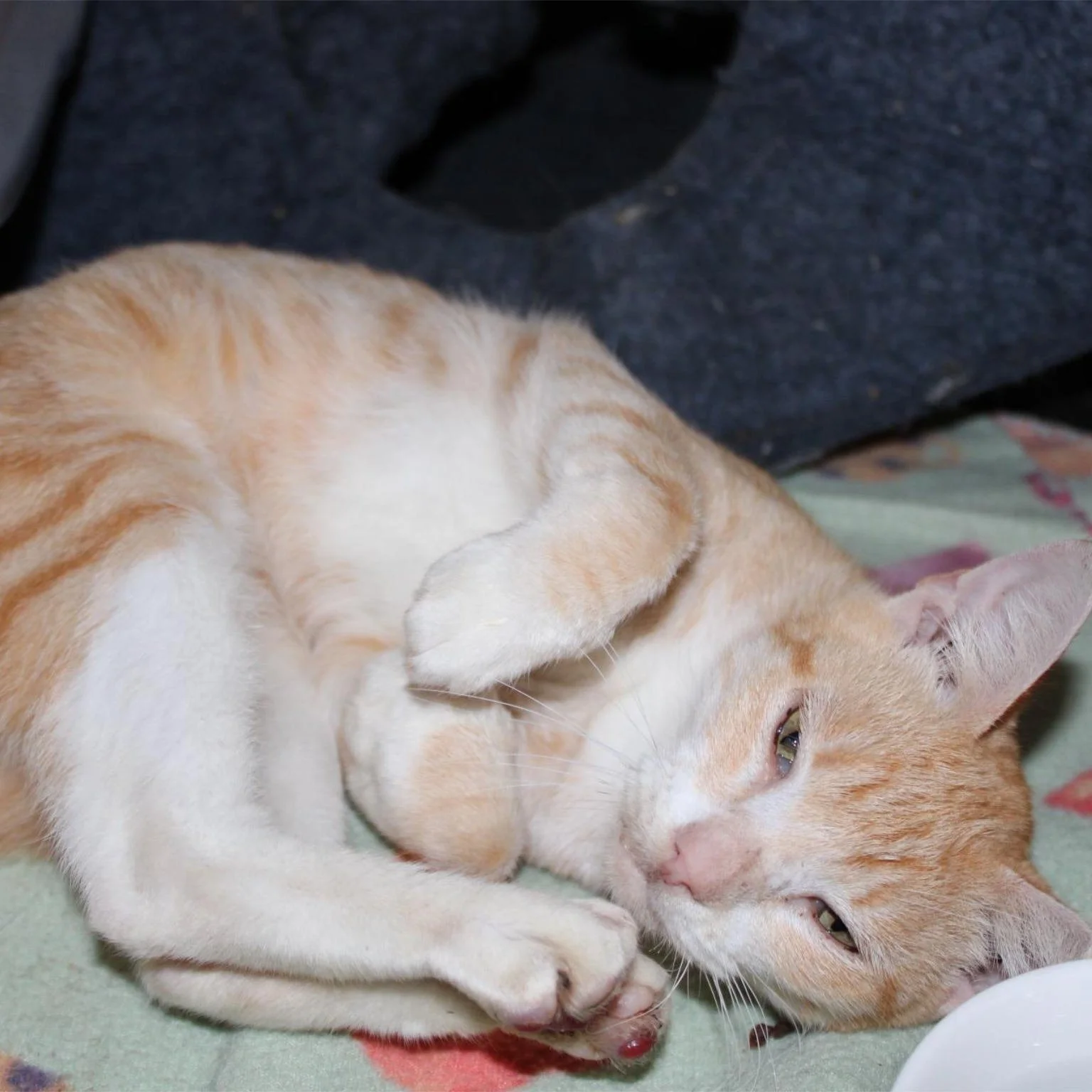 2026-Esther-02wb.jpg