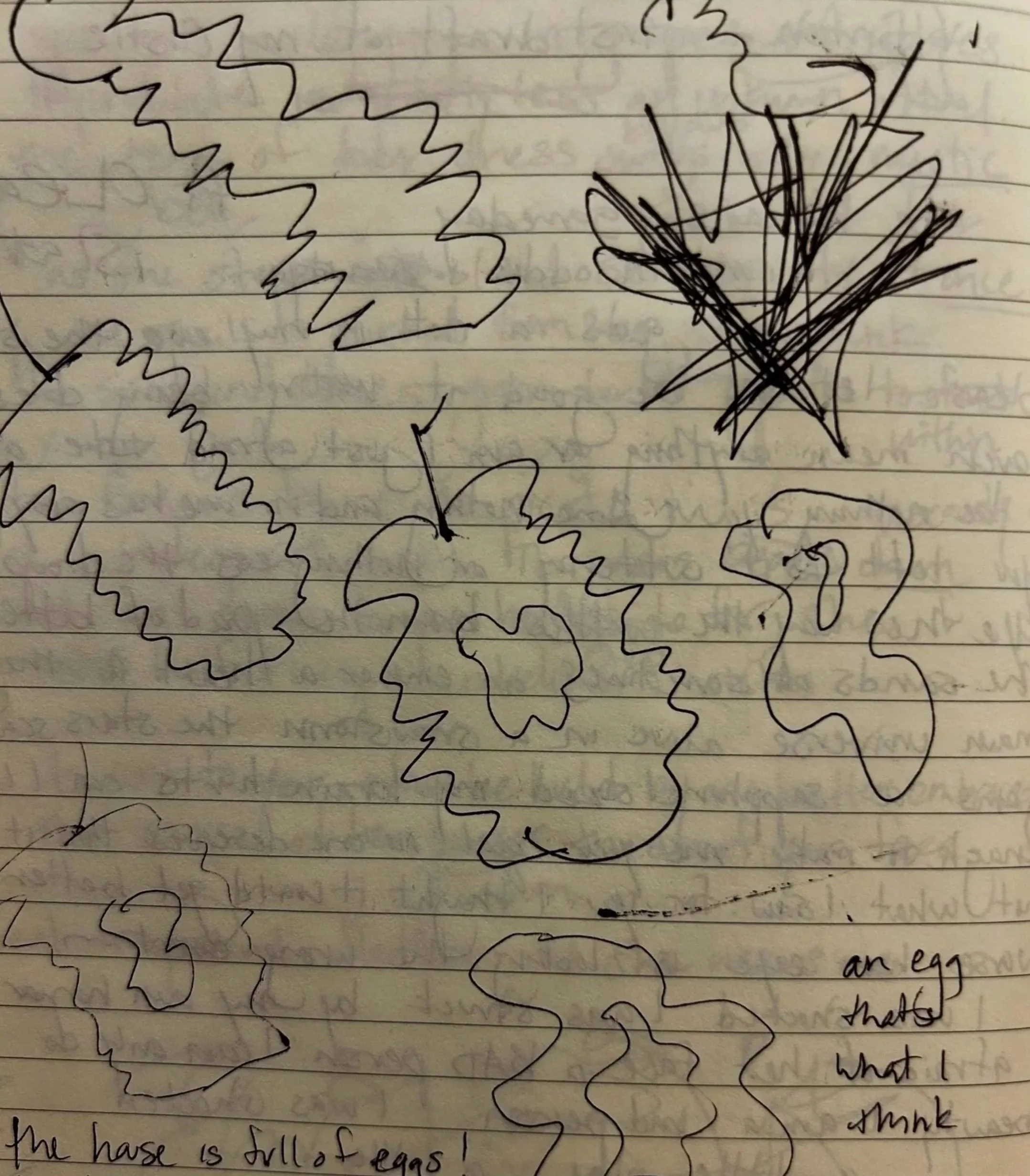 A pen sketch of squiggly egg apples and text reading "an egg that's what I think."