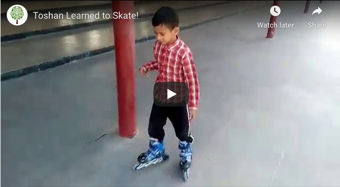 Toshan learns to skate (Developmental Delay)