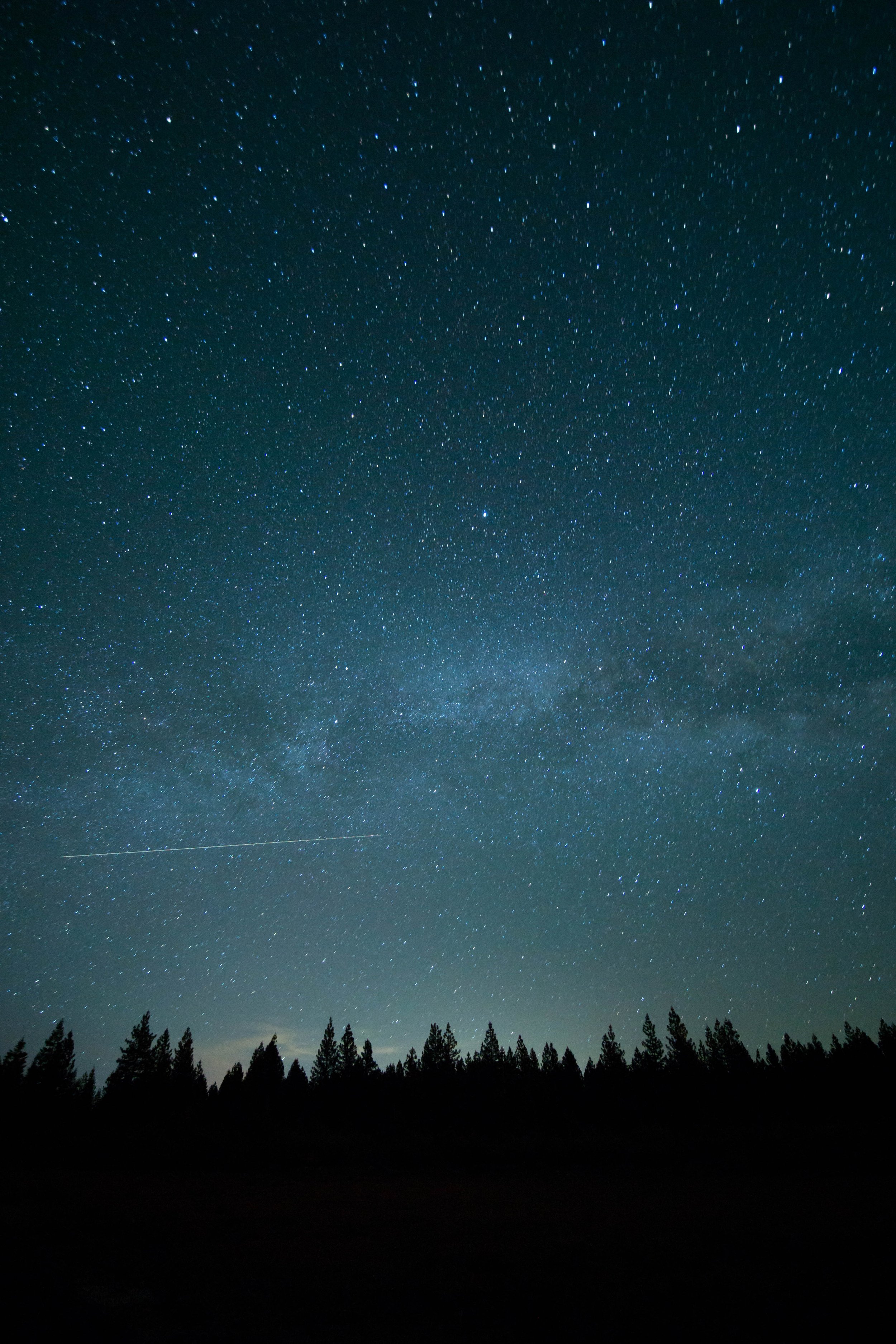 wil-stewart-T26KCgCPsCI-unsplash.jpg