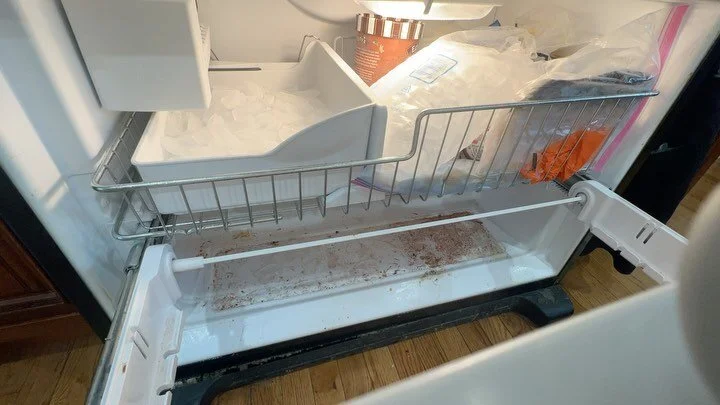 Freezer meets steam cleaner 🙅🏼&zwj;♀️ #cleaninghacks #cleaningmotivation #steamcleaning