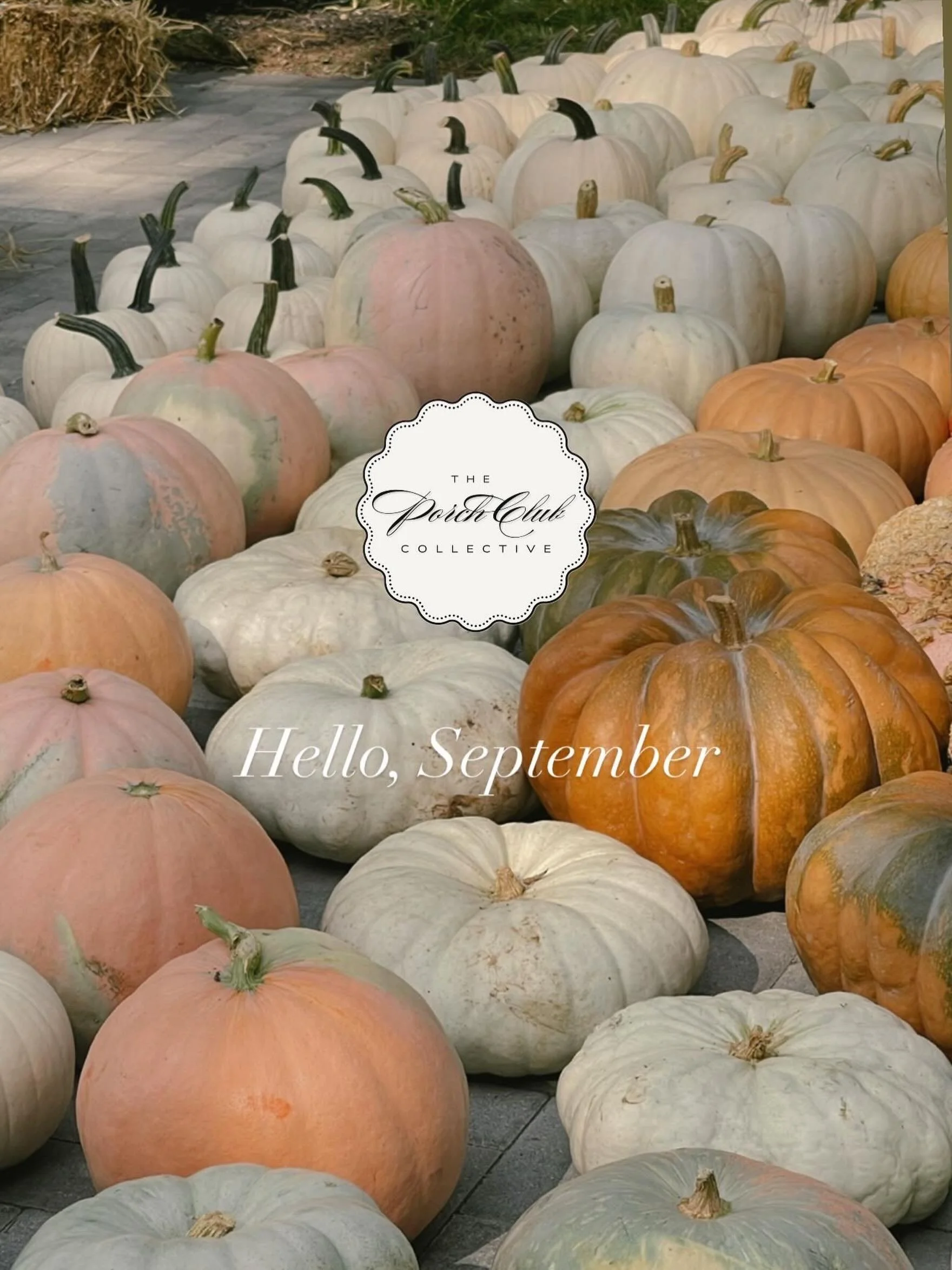 It&rsquo;s officially pumpkin month !! 💫 limited spaces left to join t 𝑻𝒉𝒆 𝑷𝒐𝒓𝒄𝒉 𝑪𝒍𝒖𝒃 2026 👀 installs start in just a few short weeks 👻