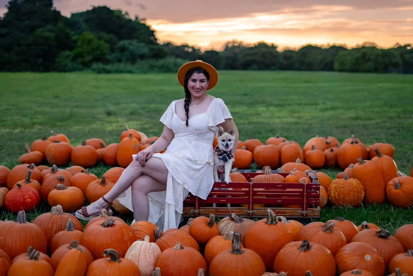 Happy Autumn Equinox from the Ferrallses 🍂🍁🧡

One of my favorite traditions - our annual Fall photo.

#FerrallsPhotography #Photograph #Photographer #Photography #Photoshoot #PhotoshootSession #FamilySession #FamilySessionPhotographer #SouthFlorid