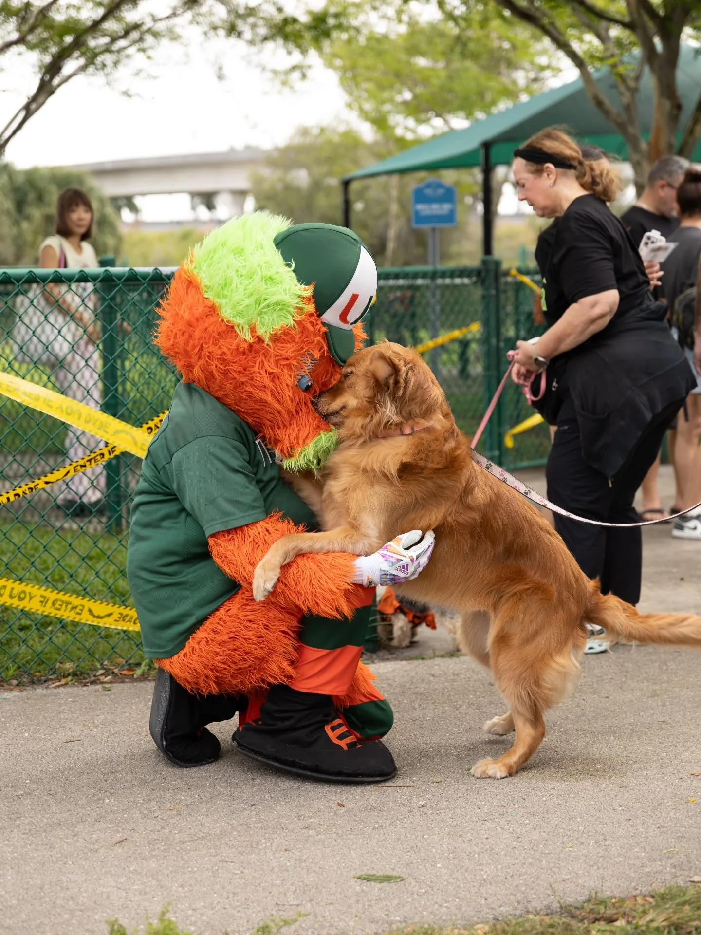 📷: @thepawtrait_studio 

I typically don't post other photog's work, but Carolina KILLED this shot. Two of my favorite things: sports and dogs 🥰 this is so wholesome. I literally cannot. But it doesn't stop there. Wait til tomorrow...let's see if @