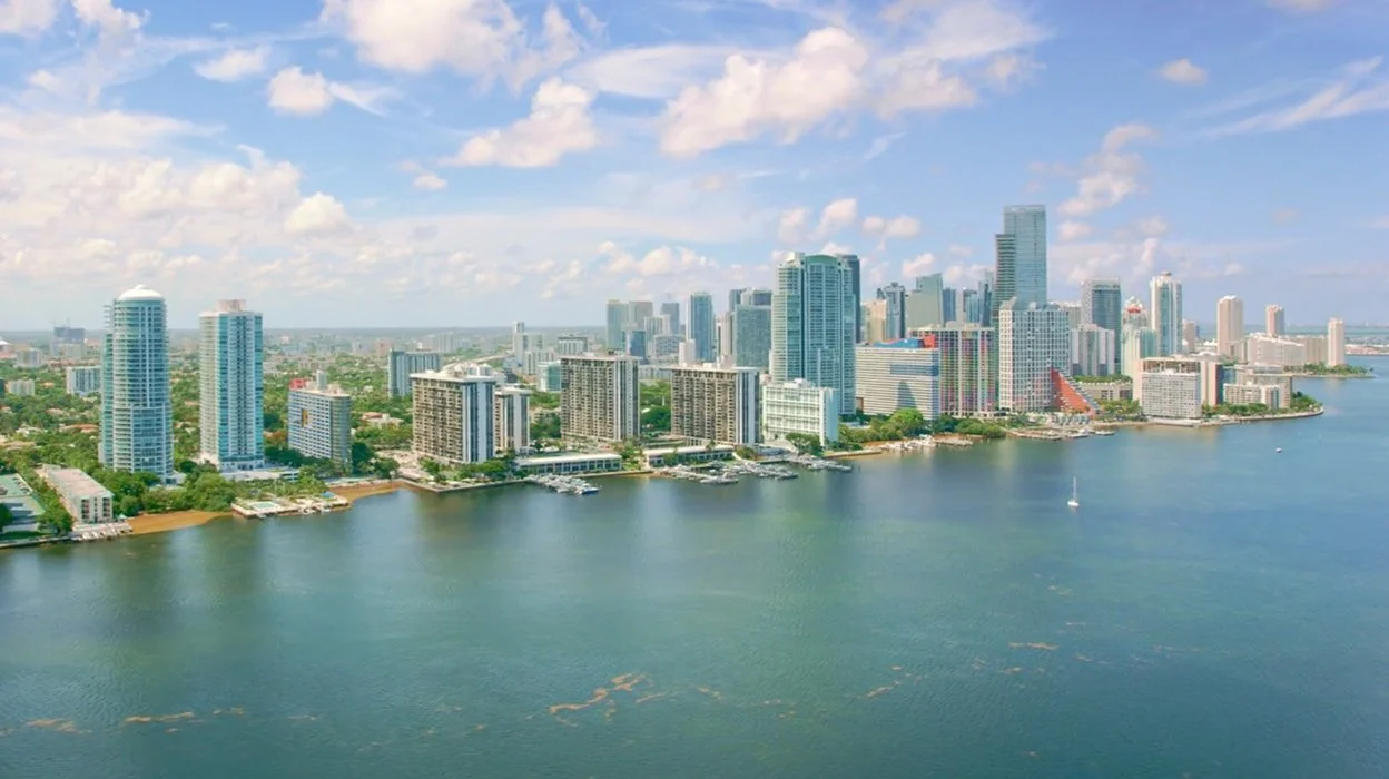 Clients testimonials - see why business trust Ginard Studio