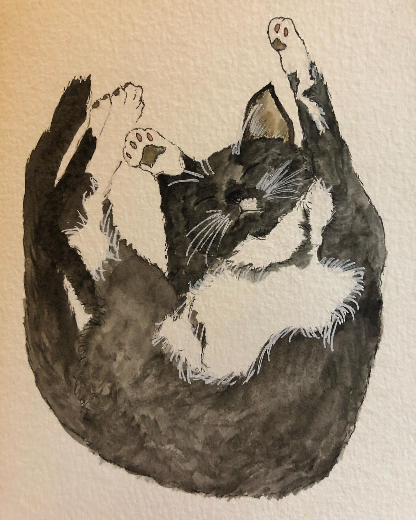 When I&rsquo;m not talking with animals, I like to draw and paint them 🐾🎨

#animalportrait #petportrait #animalcommunicator #animalsofinstagram #penandink #watercolor