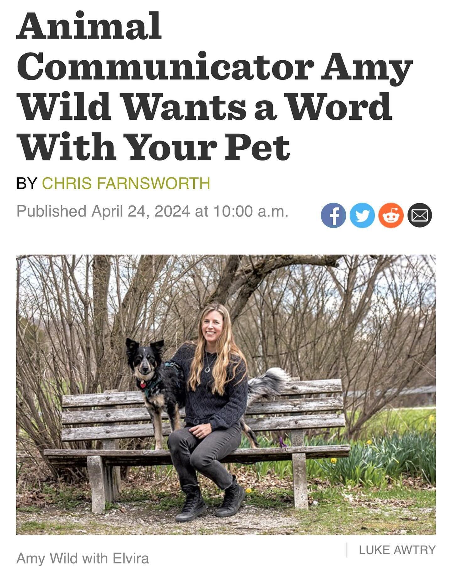 📰Elvira made the papers!

Thanks to @sevendaysvt for featuring me in the Animal Issue, to @farnsworthprime for making it all happen and letting me chat with Wilbur, and to @lukeawtryphotography for the eventful photoshoot!

Article at sevendaysvt.co