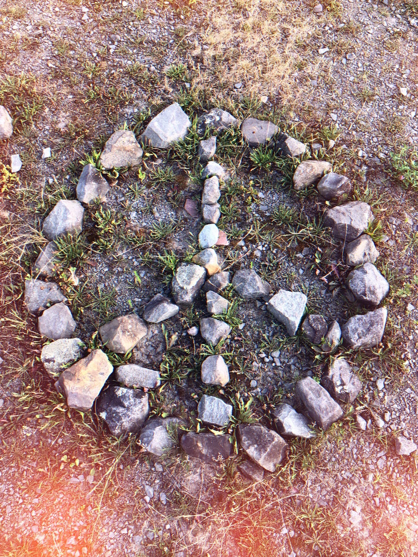 Our intuition is our greatest gift. It&rsquo;s an important ally that with practice we can learn to trust so it can guide us and protect us. When the world around us is filled with corruption, danger, and lies, we need to be able to trust ourselves n