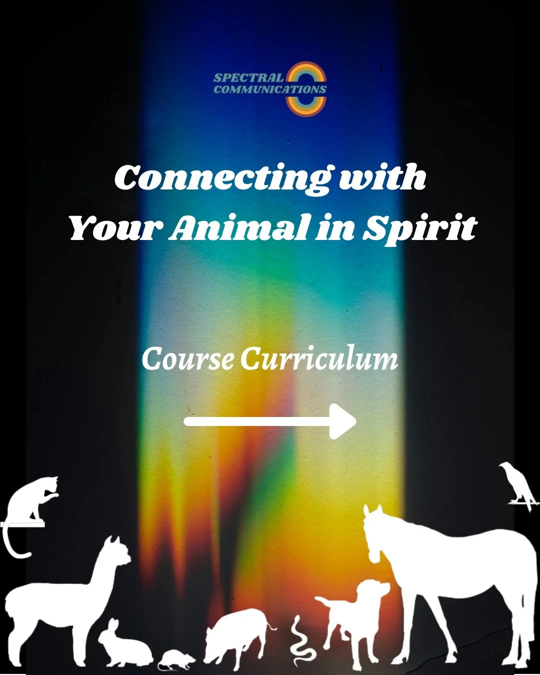 Nothing will ever completely take away the pain of losing a beloved animal companion, but learning how to connect with their spirit can be a deeply healing experience and is accessible to anyone with an open mind. Here&rsquo;s a deeper look into what