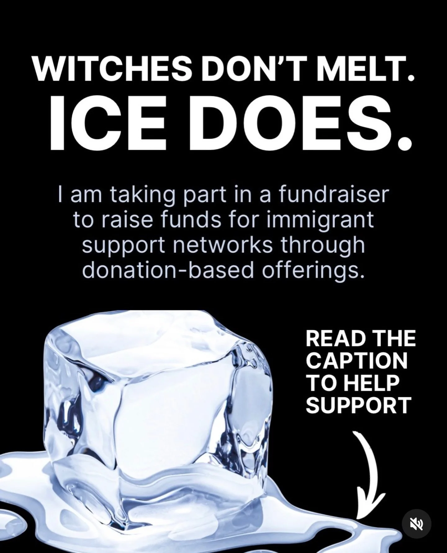 Join me on Saturday, February 7 to raise funds for the Immigrant Defense Project. I am offering donation based 15 minute Animal Communication sessions via Zoom or phone call. These are sliding scale, $22 - $44 each. 100% of your payment will be donat