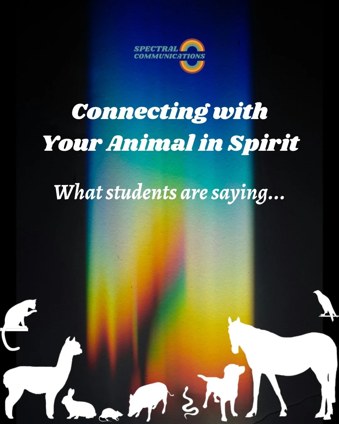 Being able to share these methods of connection with you is the greatest gift 🤍 If you&rsquo;re looking to deepen your connection with your animal in spirit, I&rsquo;d be honored to share this course with you too. 🔗 in bio to join!