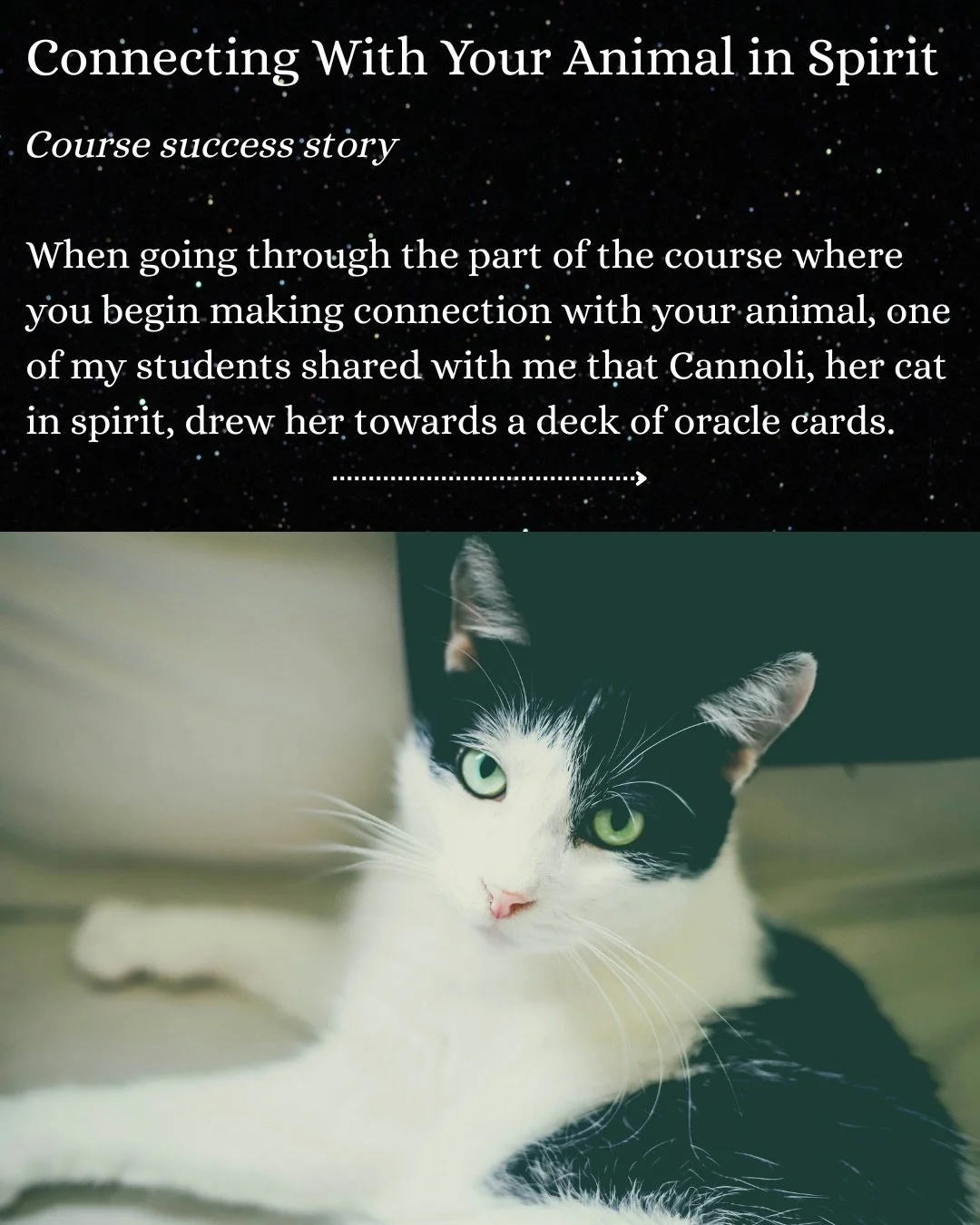 Hearing your stories of making connection with your animals in spirit is everything to me &hearts;️ 

Learn more about the course in my bio, and feel free to DM with any questions!