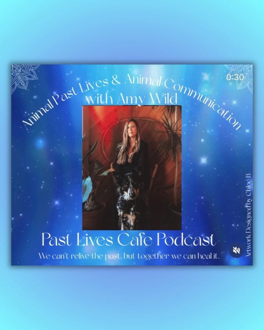 I recently had the honor of being a guest on the Past Lives Cafe podcast. Getting to talk about animal&rsquo;s past lives and the amazing souls of these beings was a super special experience. If you&rsquo;re curious to hear our conversation, check ou