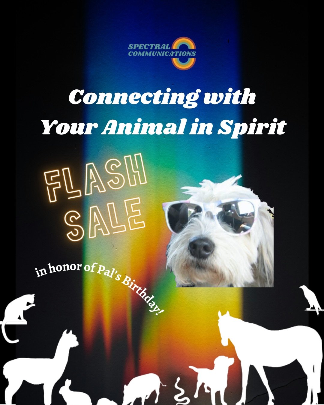 Happy Birthday Pal! 🎁💐 Her birthday gift is for you - 44% off our Connecting with Your Animal in Spirit course! 🔗 in bio - use the code PAL at checkout 🐾