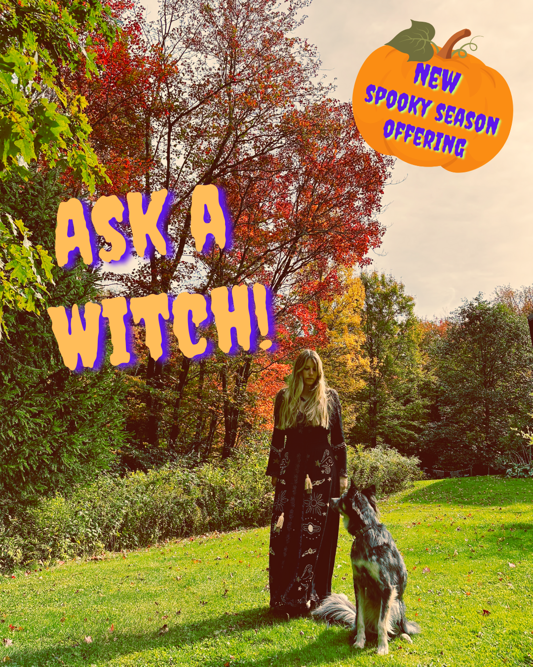 ASK A WITCH! 🎃 A New Seasonal Offering