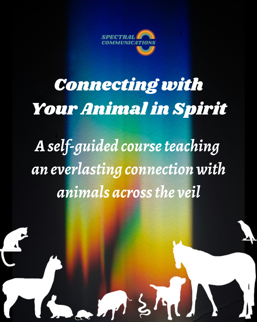 animal communication course