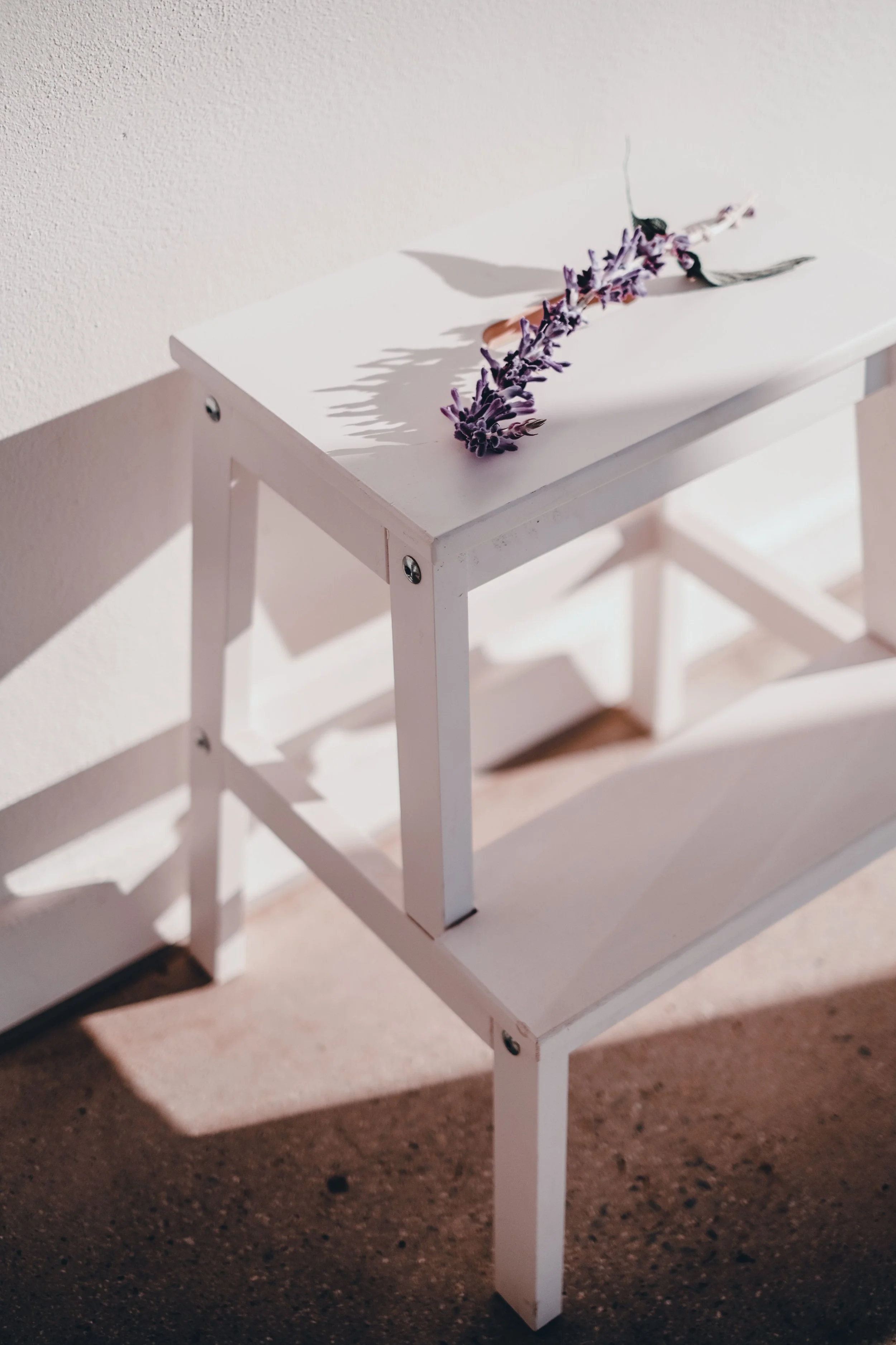 Lavender sprig resting on a white table in soft natural light