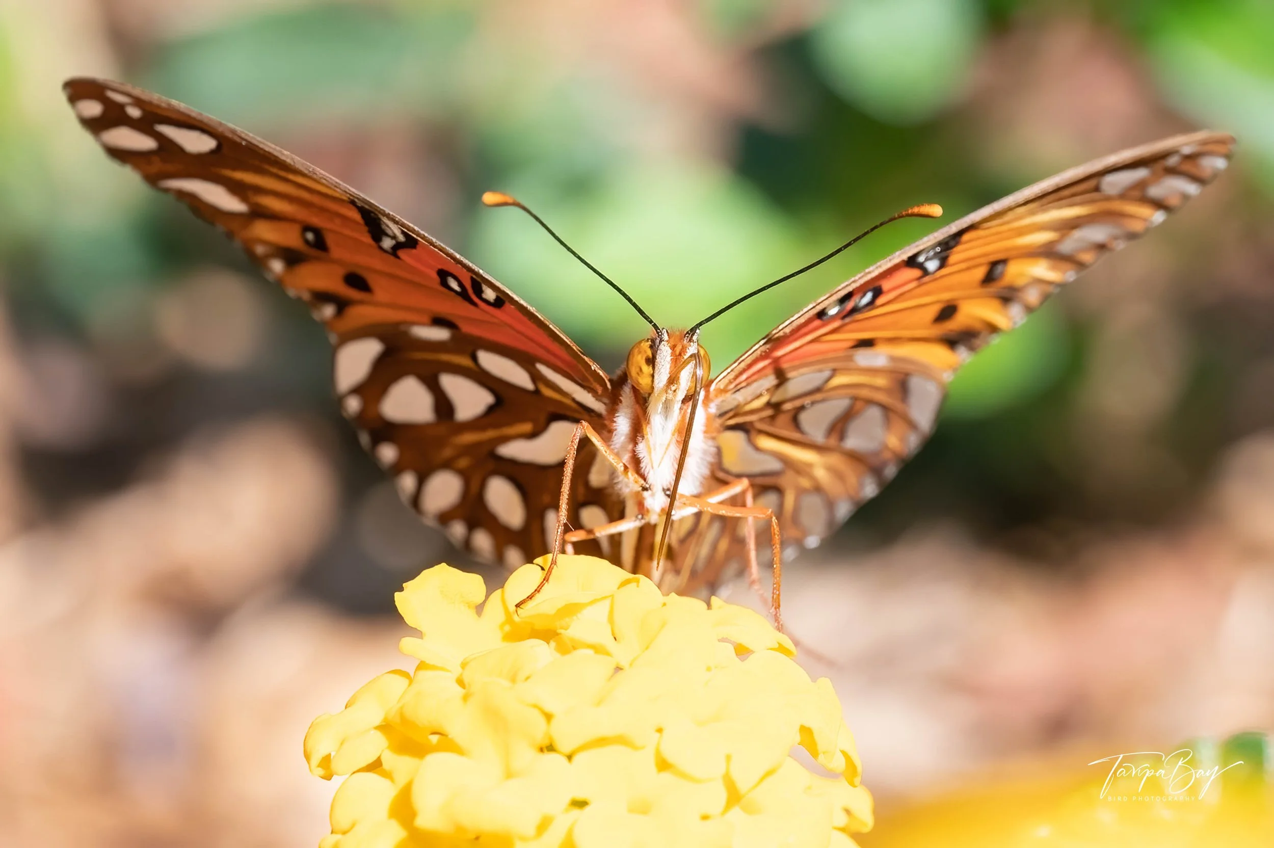 Z62_8795-Edit-3.jpg