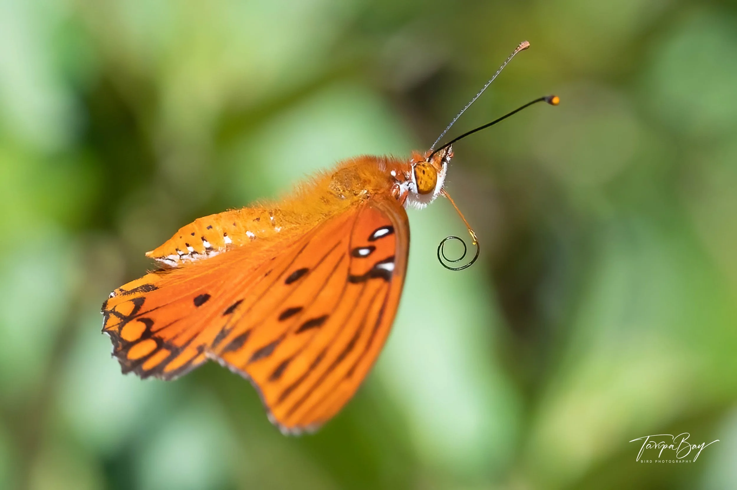 Z62_8824-Edit-5.jpg
