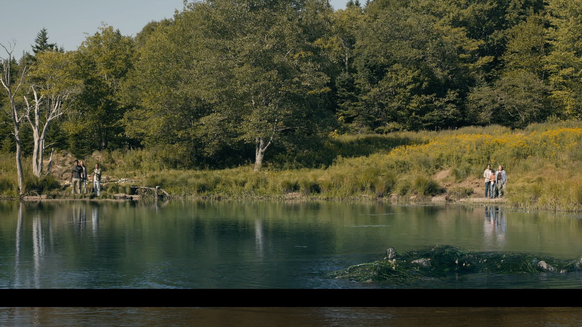From Season 4 Visual effect by WeFX