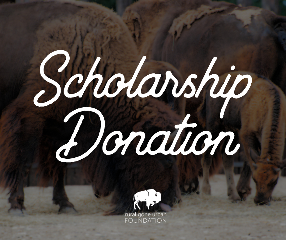Scholarship Donation - Impact 2024