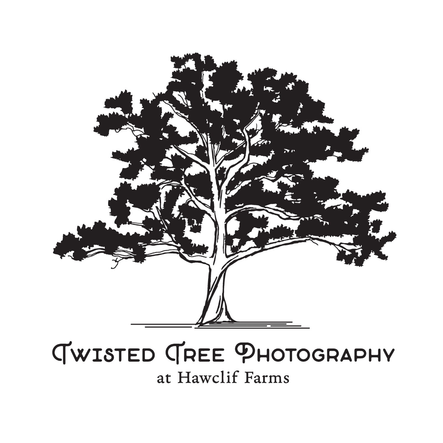 2026_harvest_dinner_Sponsors22.png