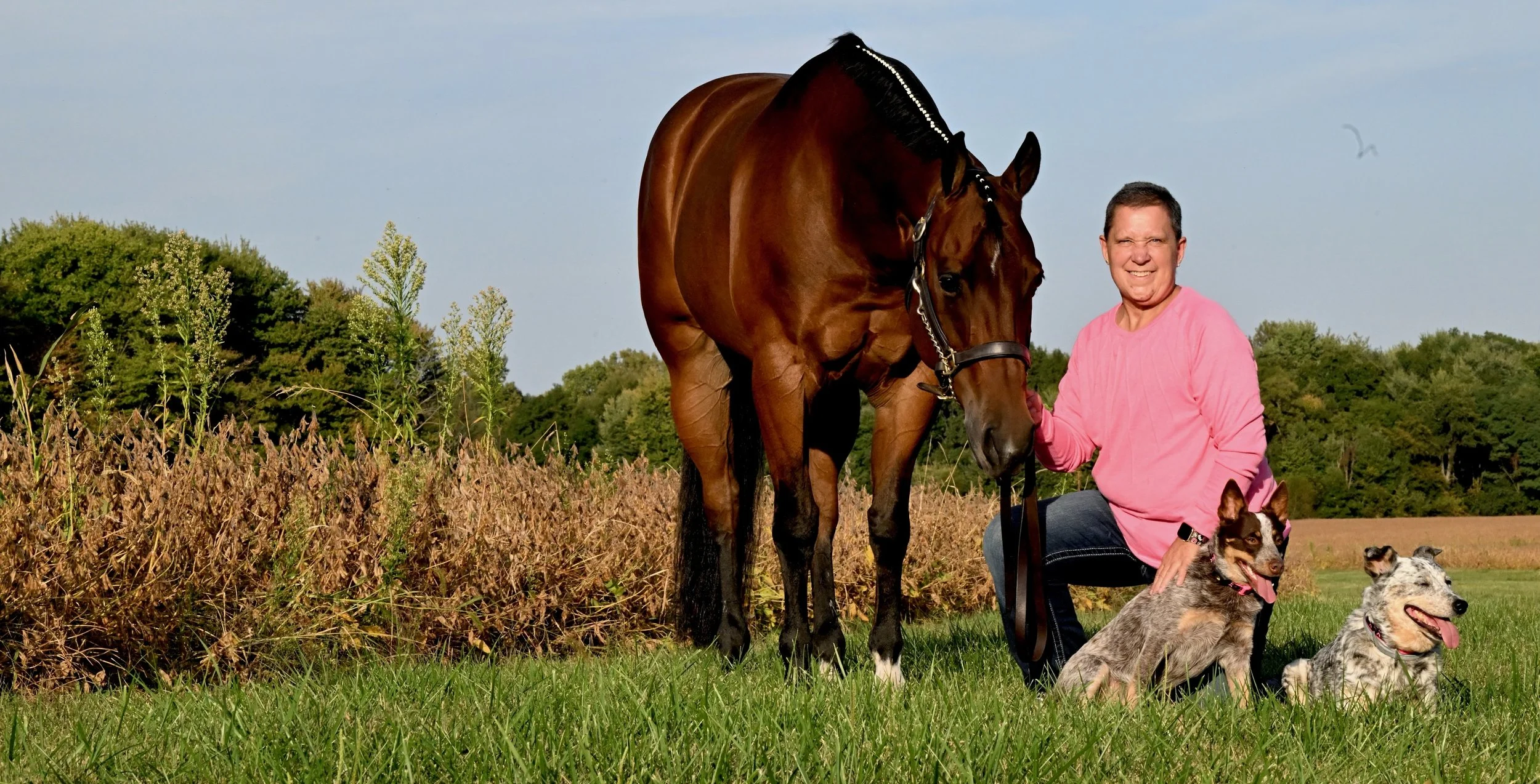 Back in the Saddle: Amy Williams Heads to the AQHA East Level 1 Championships