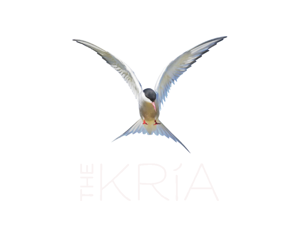 The Kria