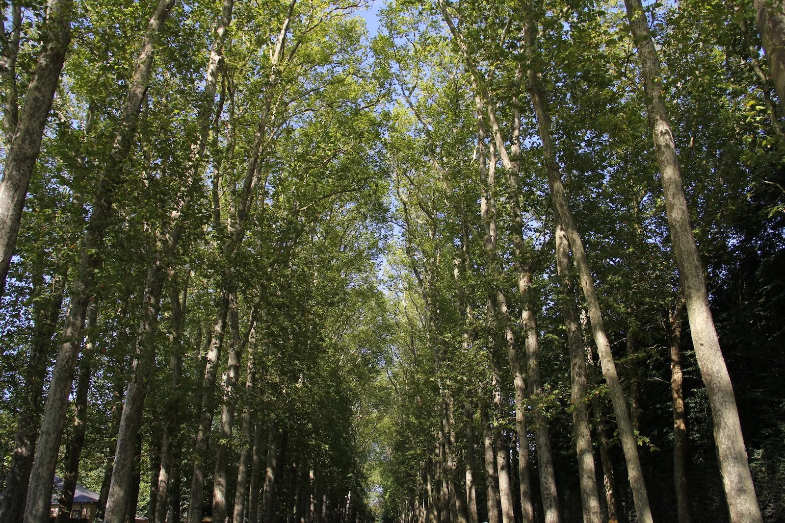 All is Well — Really