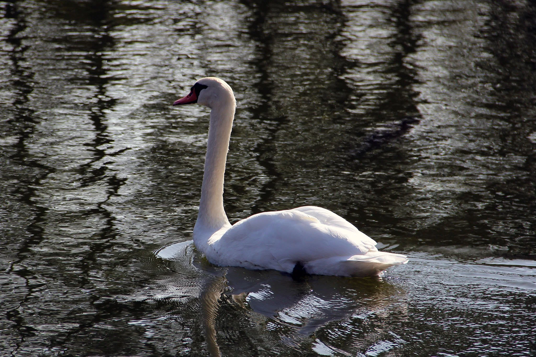 The energy of your sanctuary