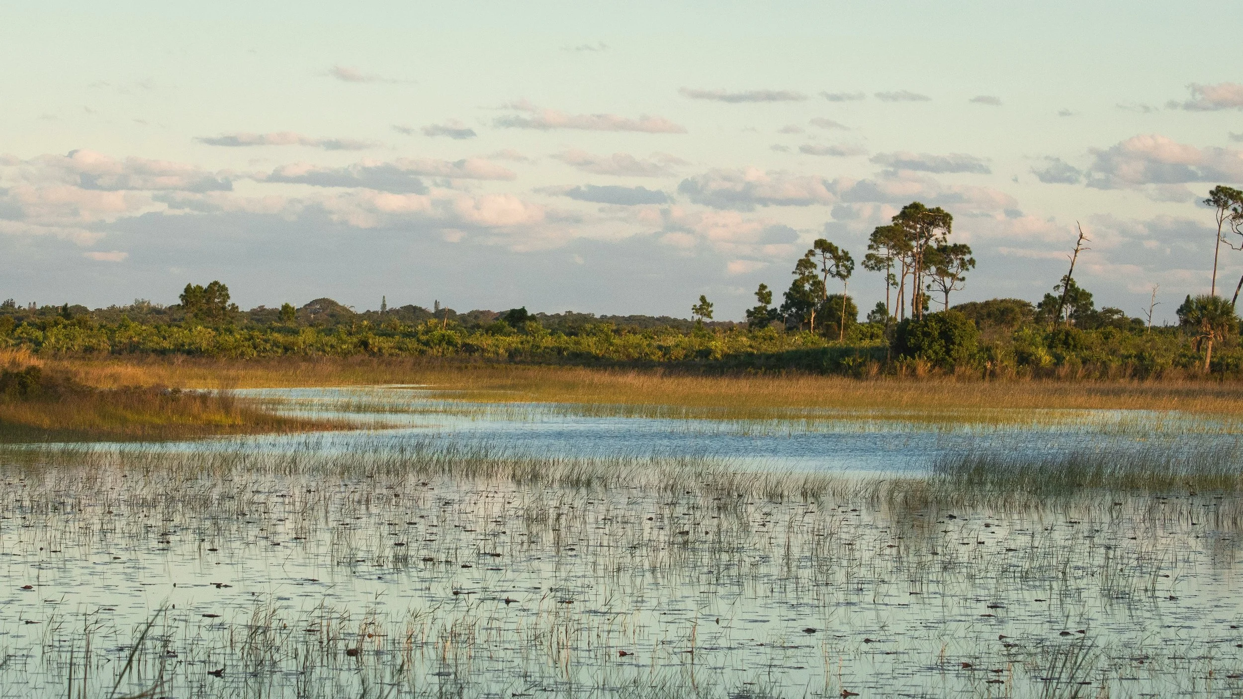 A New Space for Sanctuary