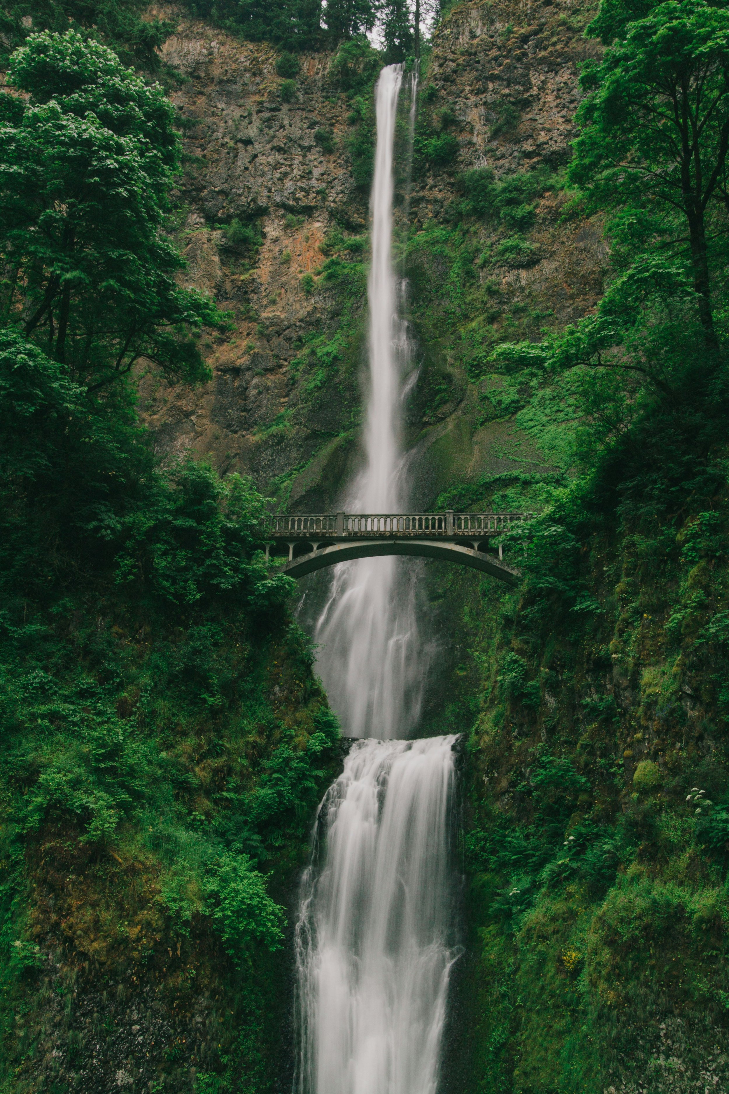 ravi-pinisetti-sxWyOaHJb0s-unsplash.jpg