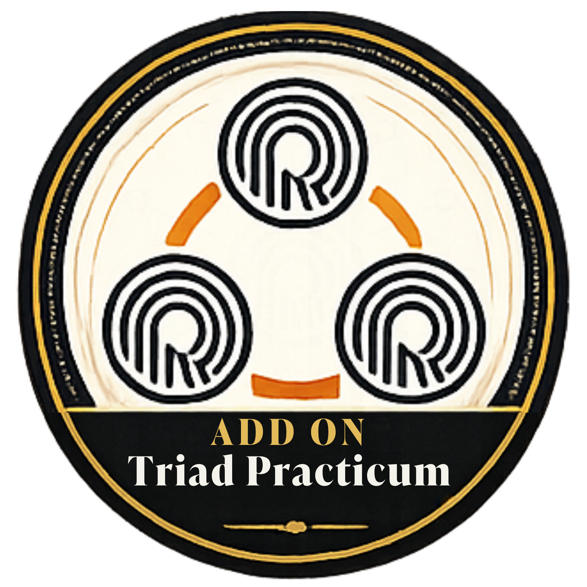 Add on Triad Practicum with the Storywork Coaching Collective at ReStory.