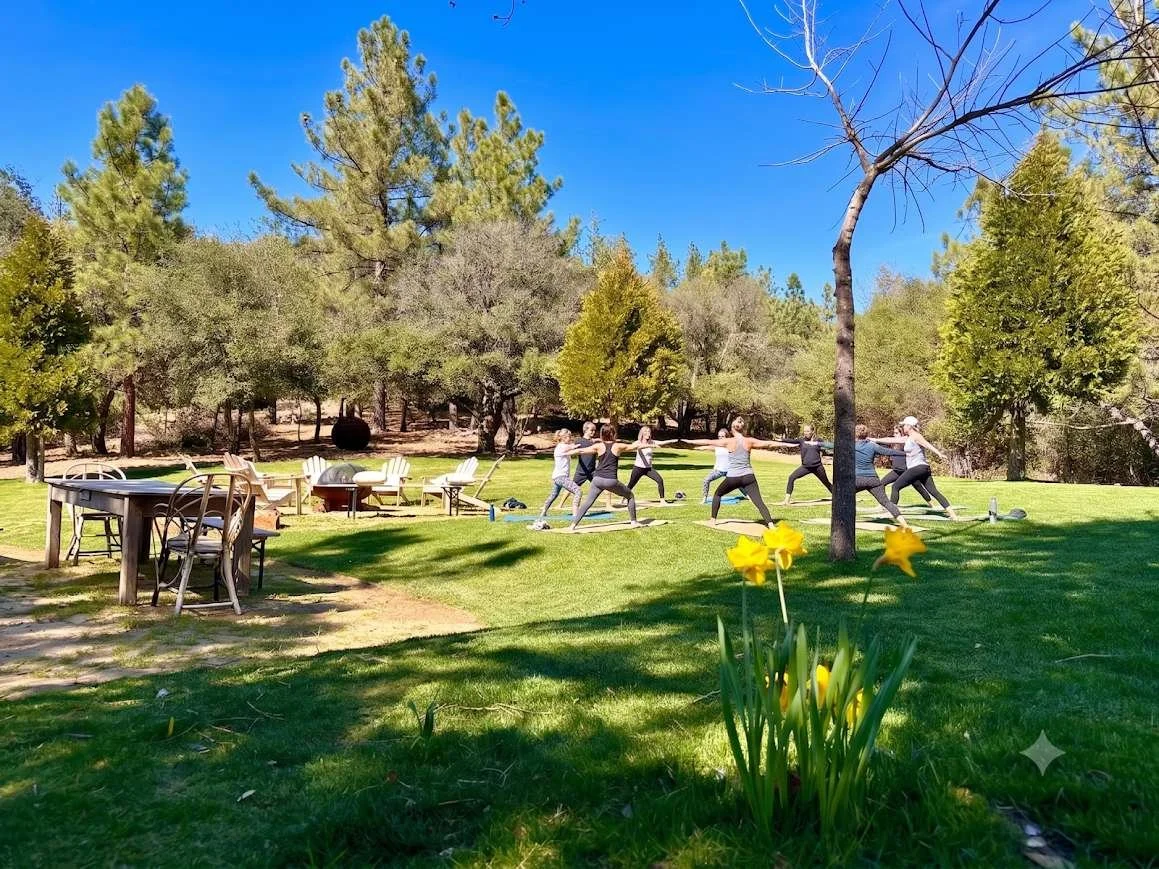 Photo of people doing Yoga