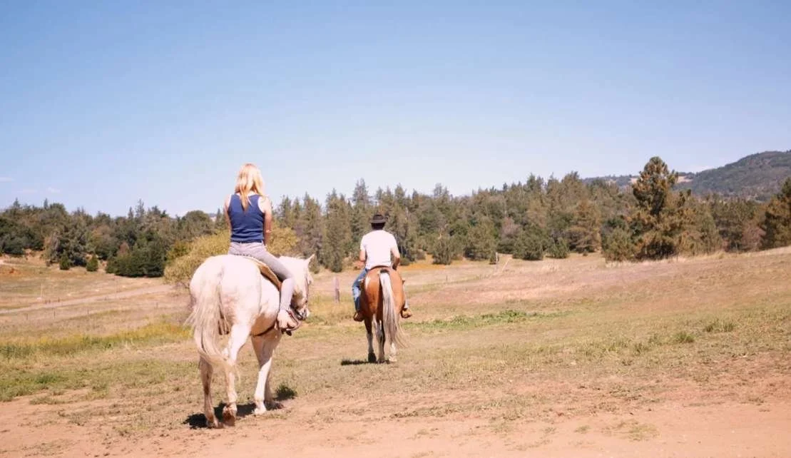 Photo of two people riding horse