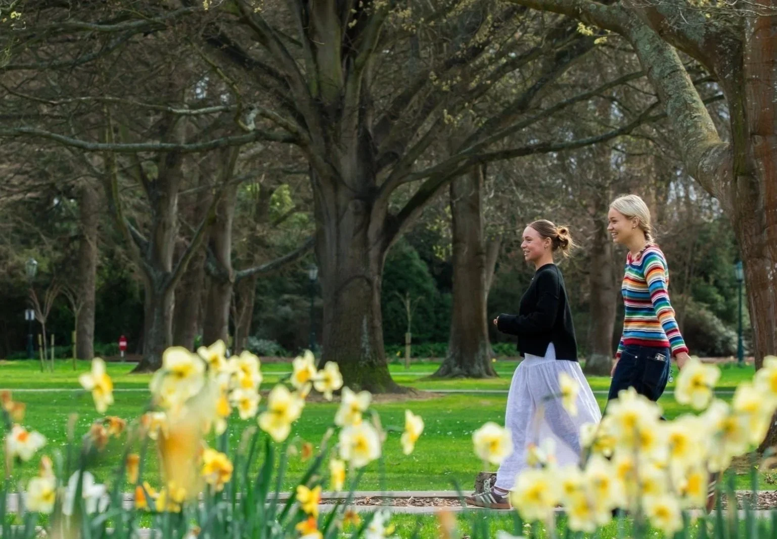 Two women walking and talking in a park with large trees and yellow flowers in the foreground.