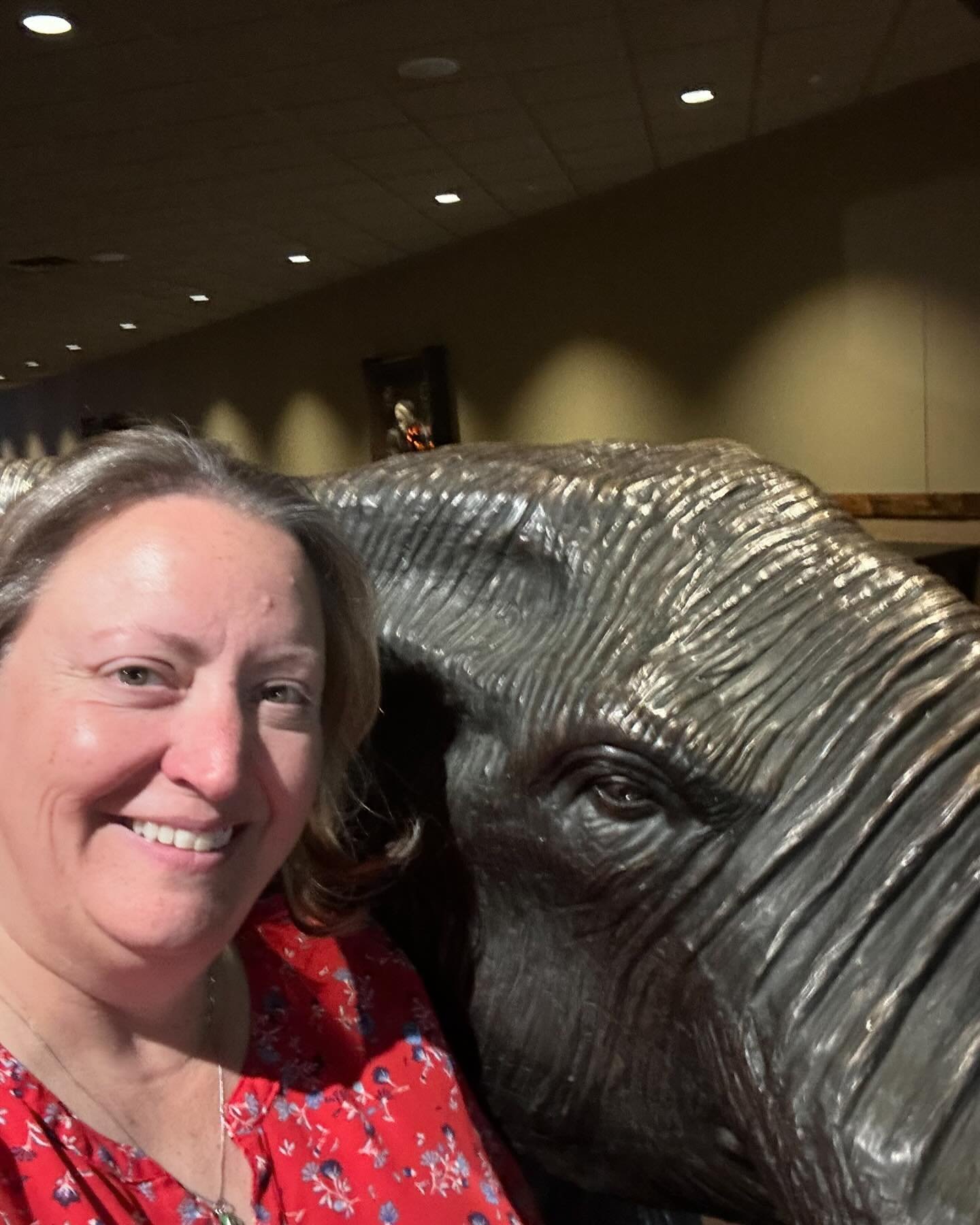 Hanging with the elephants and early childhood educators at the #oaeyc24. I also have lots of hot water and cough drops for my poor unhappy throat. If you&rsquo;re the conference be sure to stop by my 8:30am or 1pm session and say hi! (Or catch me in