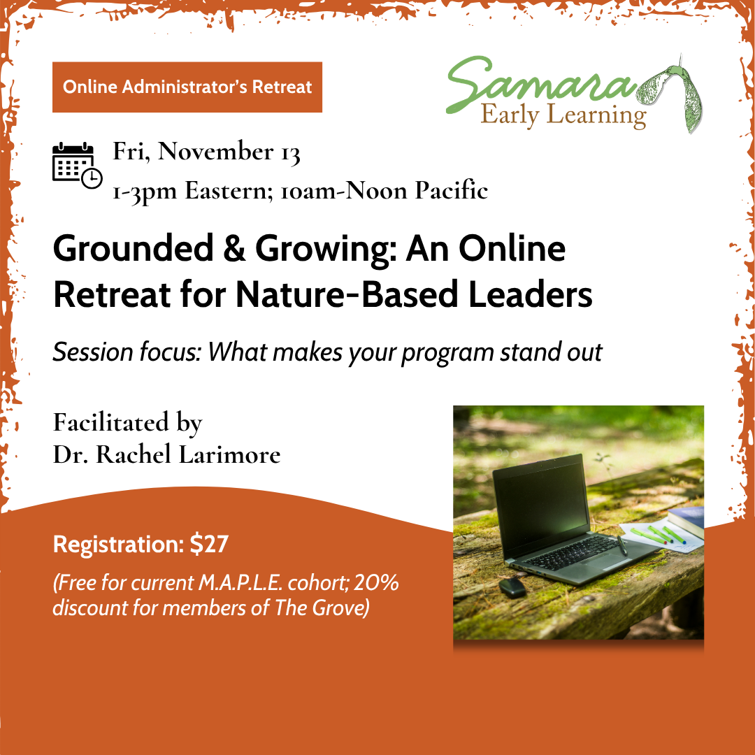 Grounded & Growing: An Online Retreat for Nature-Based Leaders (Nov)