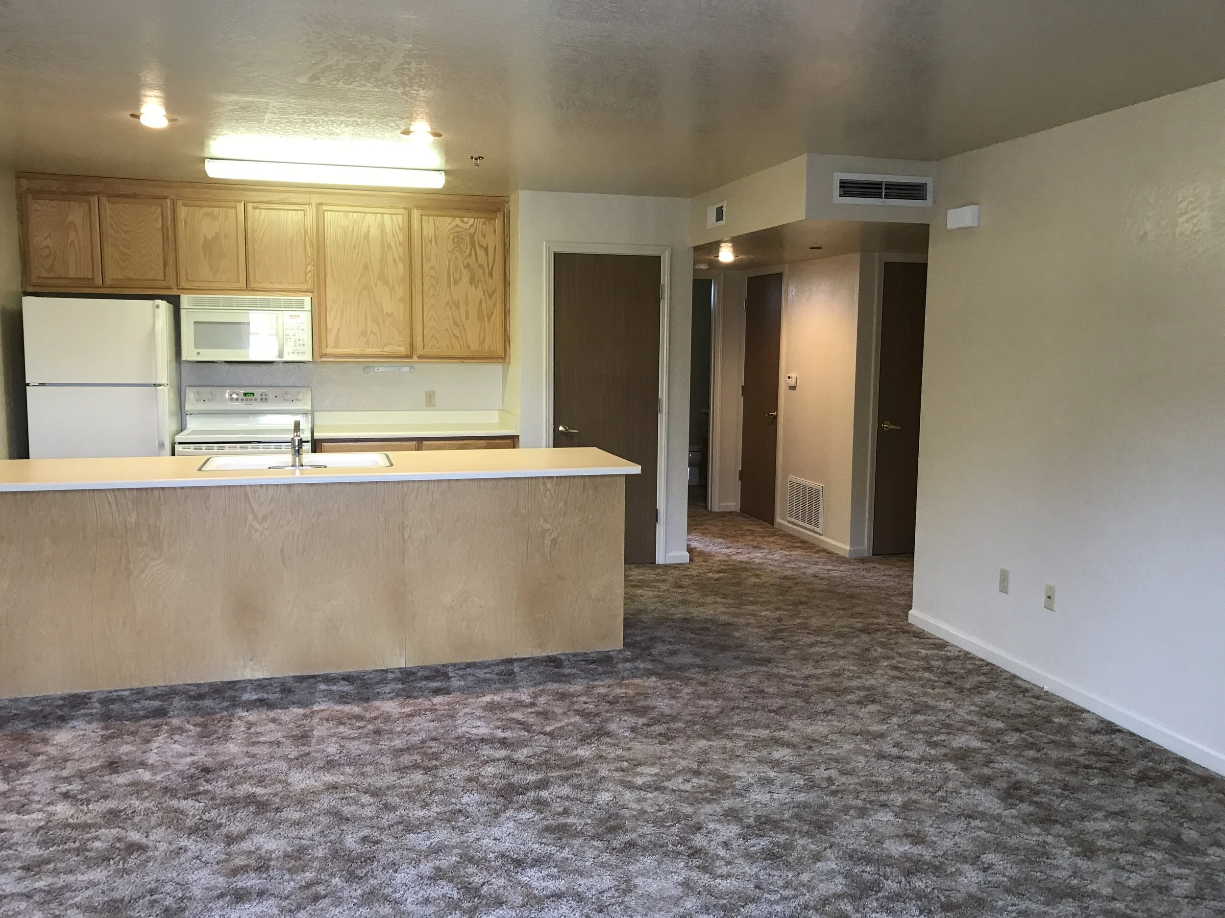 1 Bedroom Apartment - view of kitchen from living room