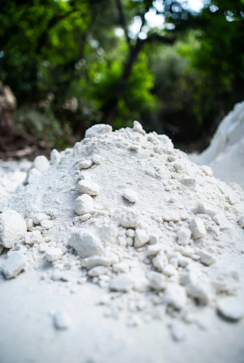 Lime-Based Finishes and Their Resistance to Algae and Mold Growth