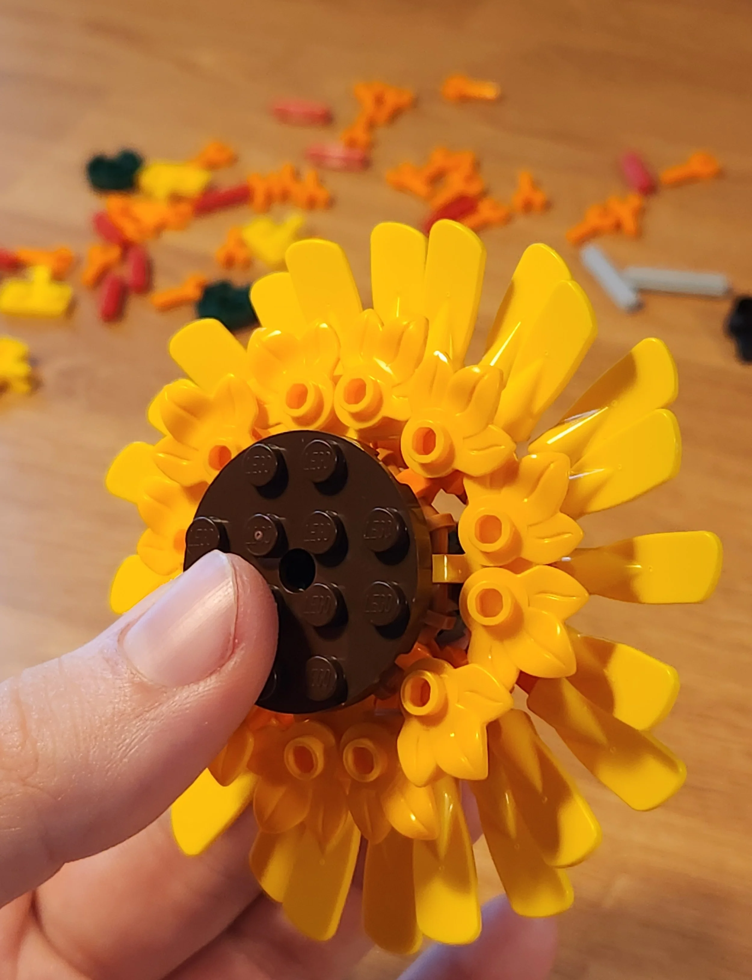 sunflower detail.jpg