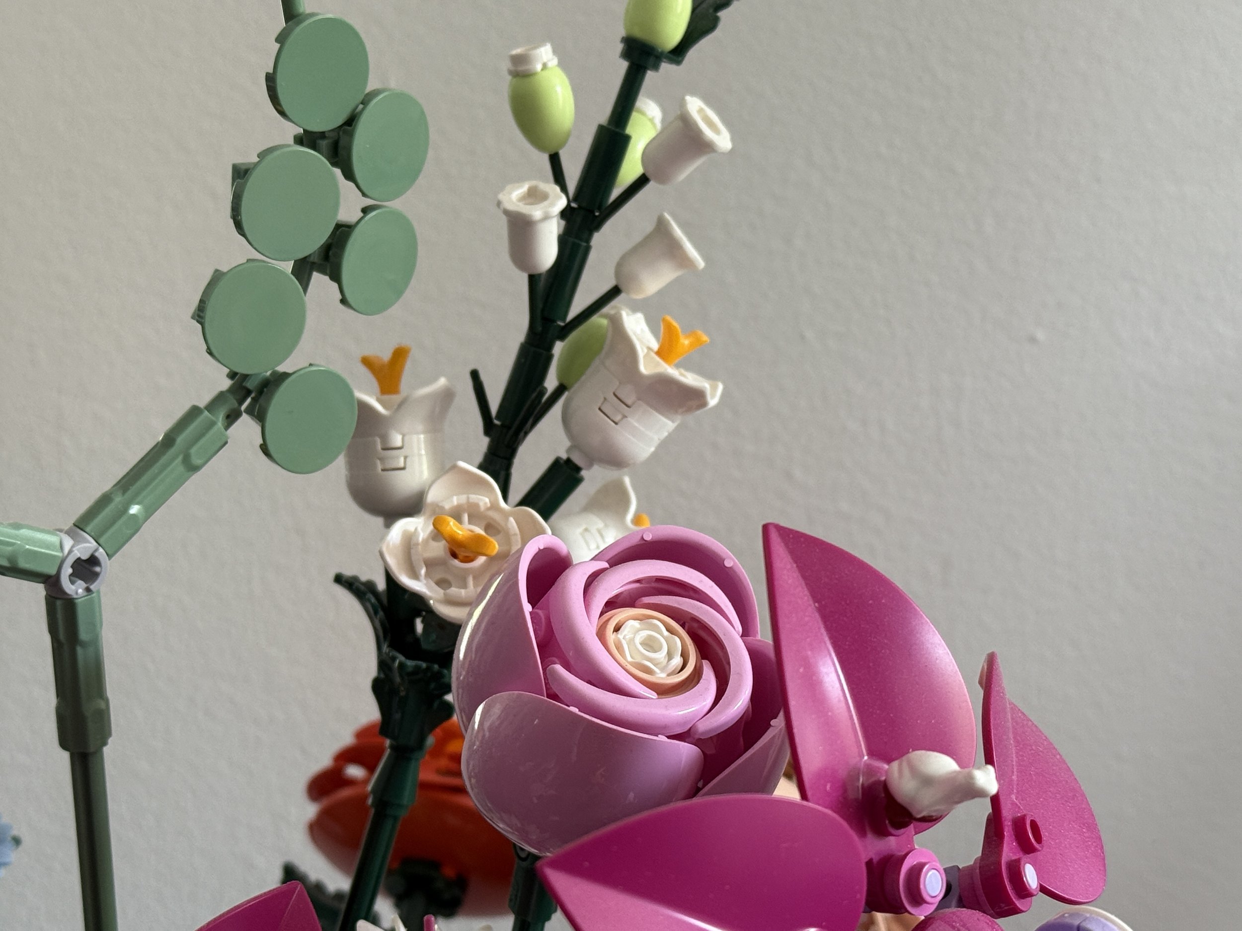Botanicals