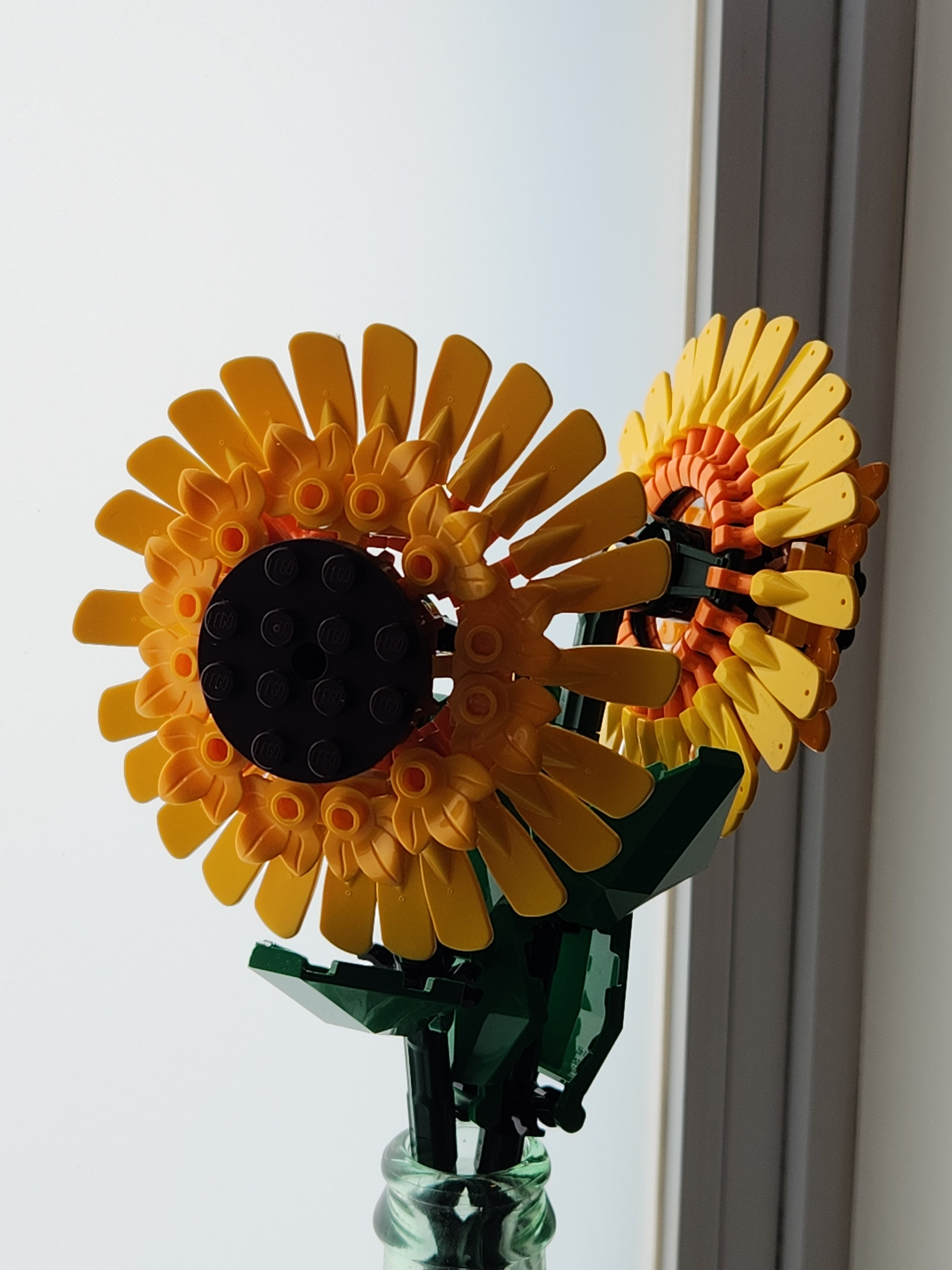 sun flower detail.jpg