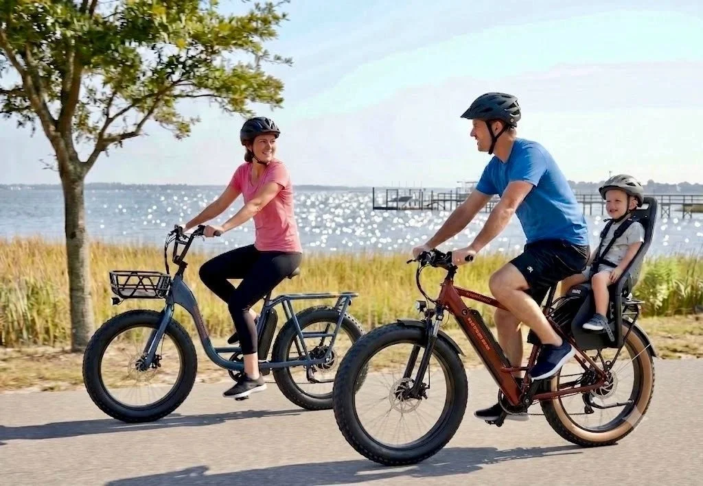 We offer safe THULE KIDS SEATS with rentals!